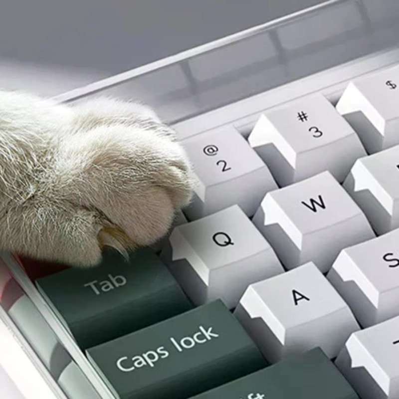 78/108 Keys Acrylic Transparen - Gaming Keyboard Extension 评论和价格