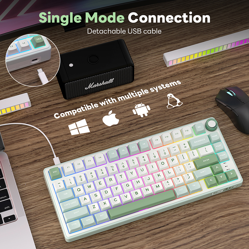 RK Royal Kludge R75 Gasket Wir - Gaming Keyboard Brand 评论和价格